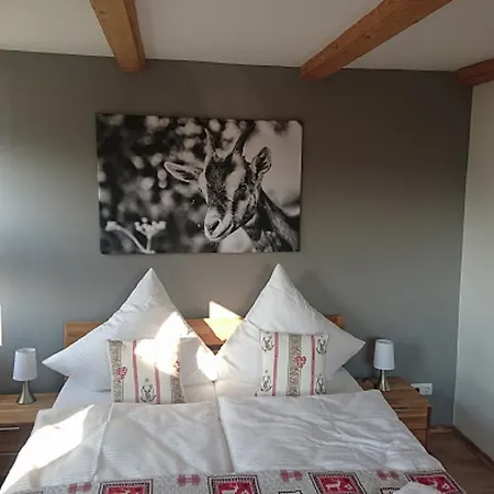 Apartment Gastehaus Hellwig